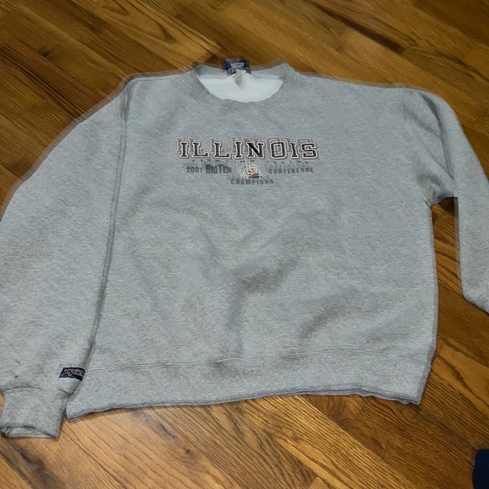 Rare vintage janSport 2010 Illinois Illini big 10 champions basketball crewneck